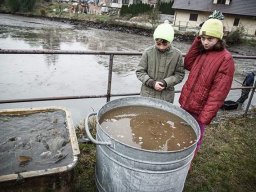 výlov rybníka