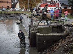 výlov rybníka