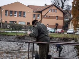 výlov rybníka