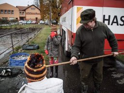 výlov rybníka