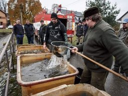 výlov rybníka